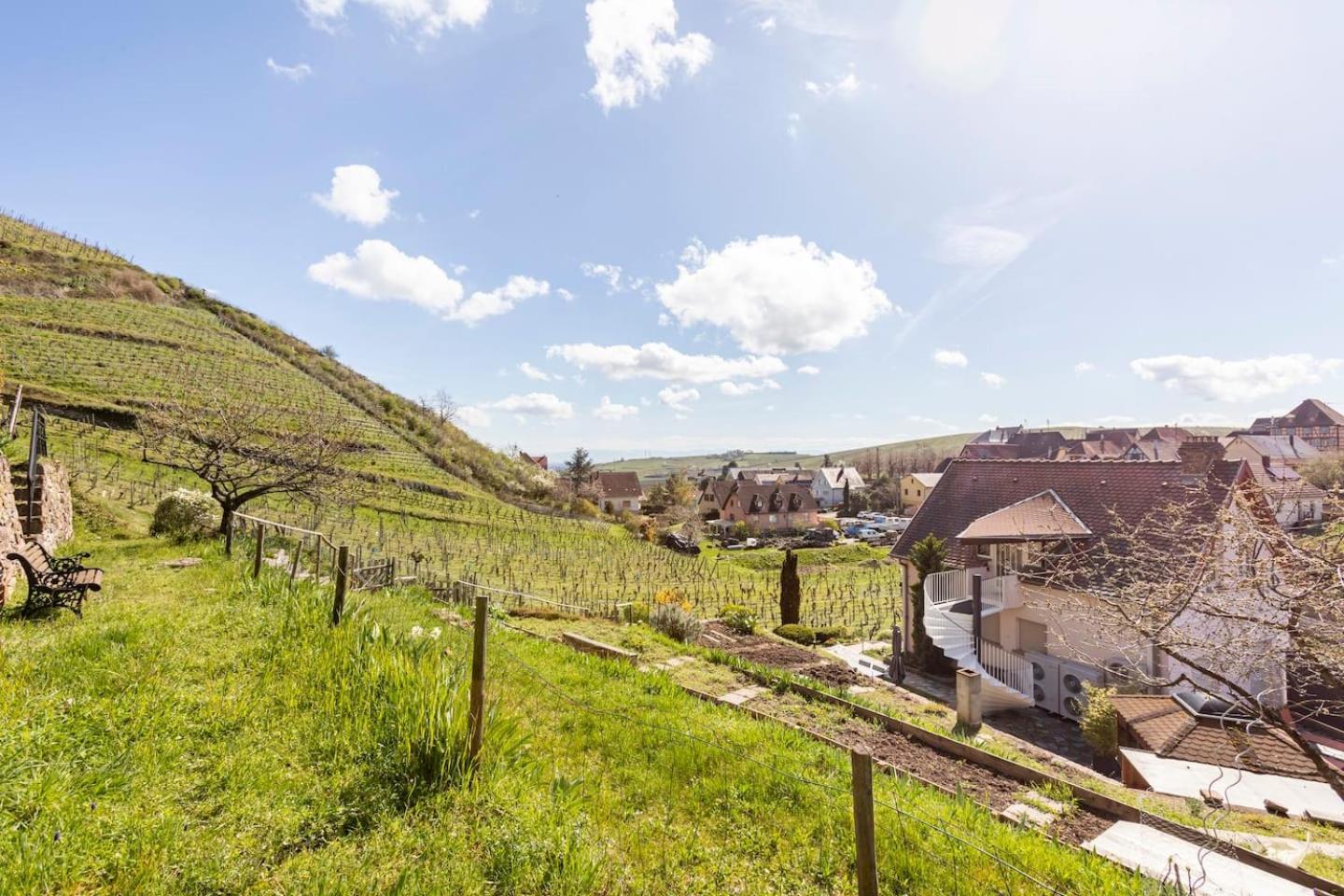 Les Glycines Du Sommerberg Niedermorschwihr Экстерьер фото